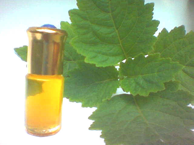 PATCHOULI OIL - Essential Oils